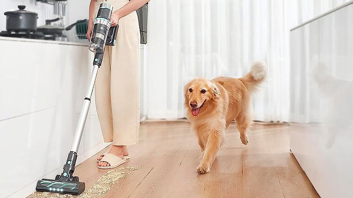 Vacuum Cleaner Buying Guide: What to Look for in Your Next Purchase